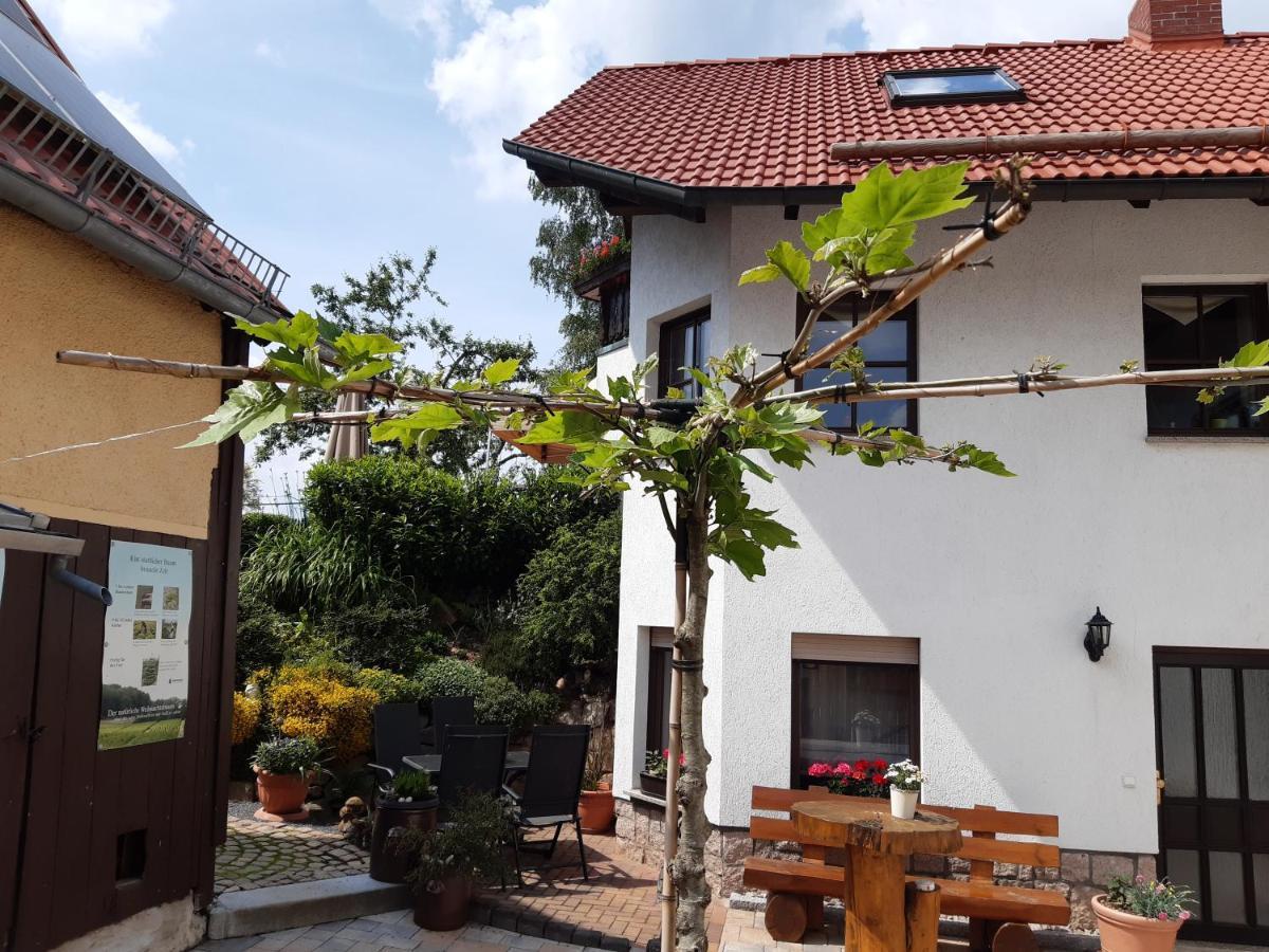 Ferienwohnung Reissmann Heinsdorfergrund Exterior photo